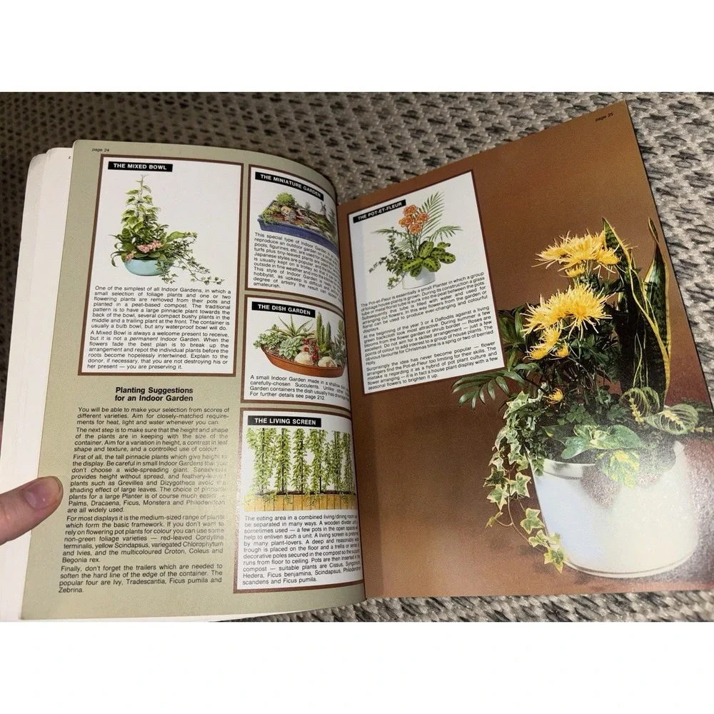 The House Plant Expert Dr. D. G. Hessayon 2002 Version Non Fiction Book Botany